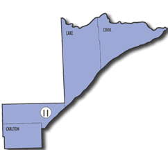 District11